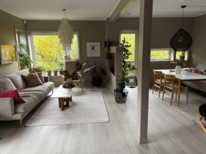 Modern & cozy house